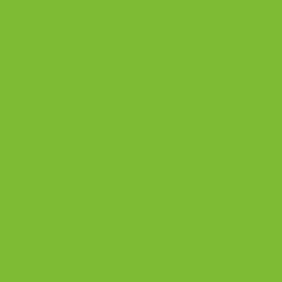 Luminous Green Ref 1164